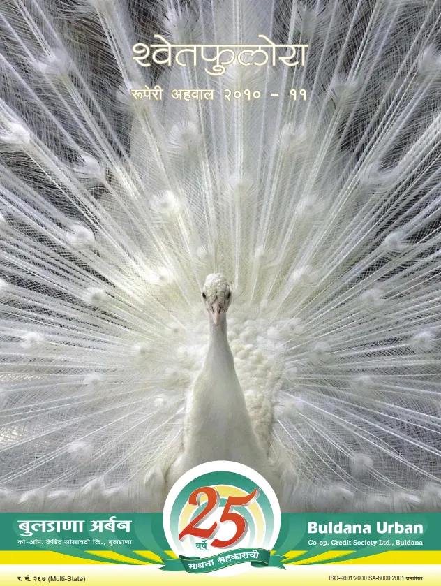 Buldana Urban Annual Report 2010-2011